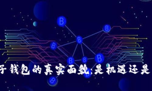 TP电子钱包的真实面貌：是机遇还是骗局？