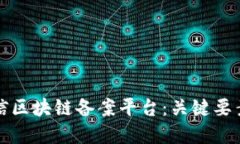 如何选择可信区块链备案平台：关键要素与最佳